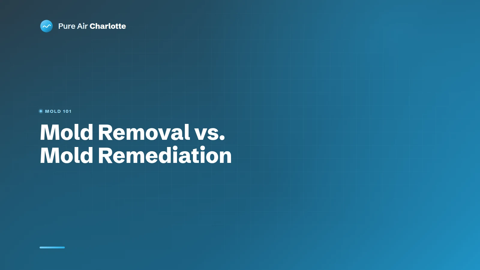 Mold Removal vs. Mold Remediation